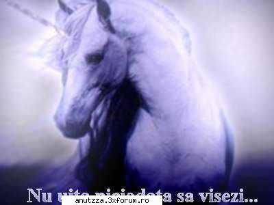 Diverse poze - o poza care mie imi place super mult - Pozeee Pozeee
